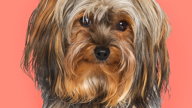 50% Off Hair Removal